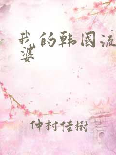 我的韩国流氓老婆