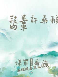 段嘉许桑稚浴室肉车