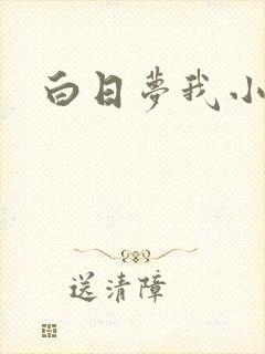 白日梦我小说