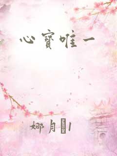 心宝唯一