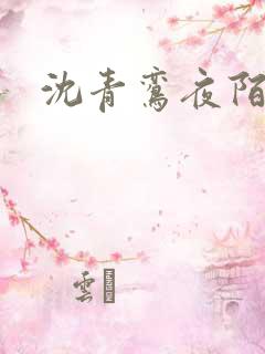 沈青鸾夜陌凌