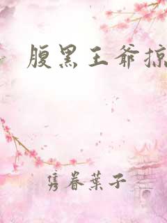 腹黑王爷掠邪妃