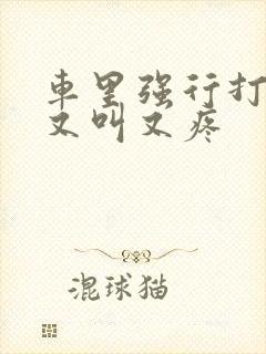 车里强行打扑克又叫又疼