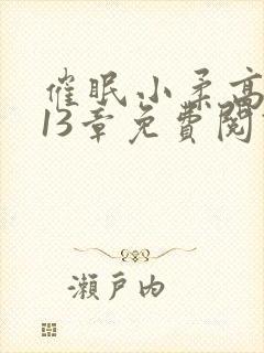 催眠小柔高达第13章免费阅读