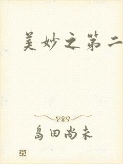 美妙之第二人生