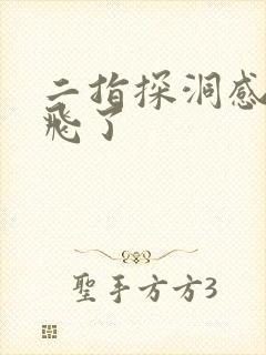 二指探洞感觉要飞了