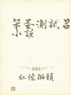 笨蛋测试召唤兽小说