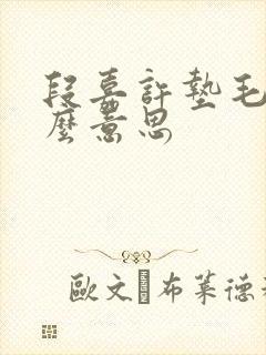 段嘉许垫毛巾什么意思