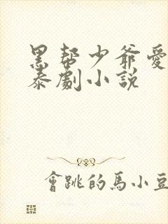 黑帮少爷爱上我泰剧小说