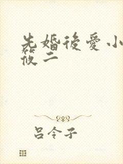 先婚后爱小说梦筱二