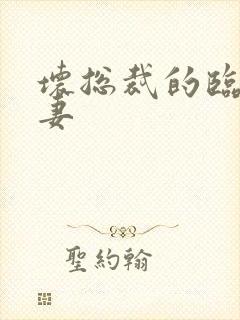 坏总裁的临时娇妻