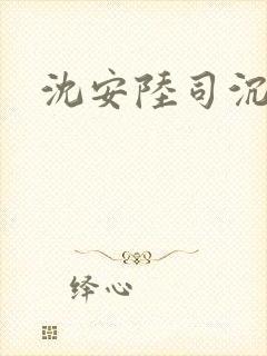 沈安陆司沉小说