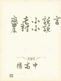 恋老小说言情网农村小说