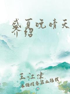 盛夏晚晴天剧情介绍