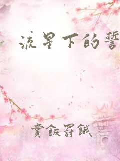 流星下的誓言