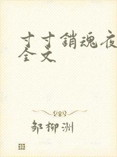 寸寸销魂夜春光全文