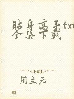 贴身高手txt全集下载