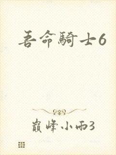 吾命骑士6