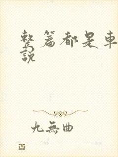 整篇都是车的小说