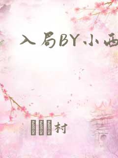 入局BY小西