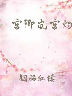 宫卿岚宫灼小说