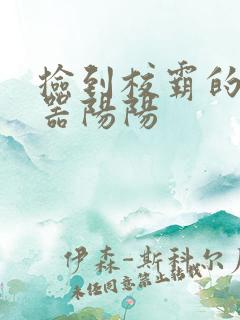 捡到校霸的遥控器阳阳