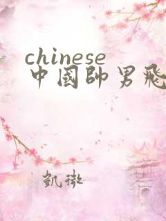 chinese中国帅男飞机