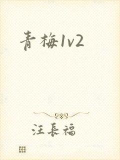 青梅1v2
