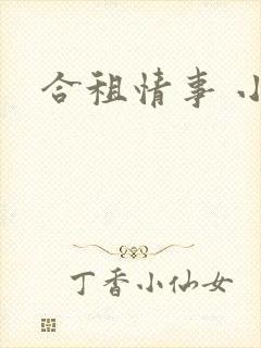 合租情事 小说