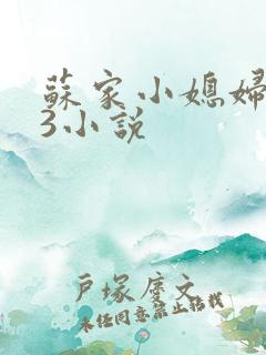 苏家小媳妇1V3小说