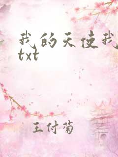 我的天使我的爱txt