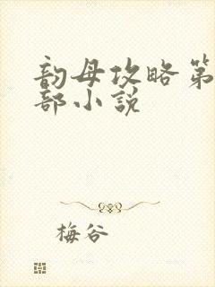 韵母攻略第12部小说