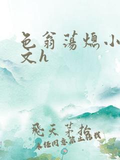 色翁荡熄小说全文h