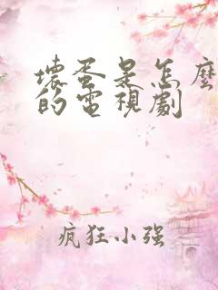 坏蛋是怎么炼成的电视剧