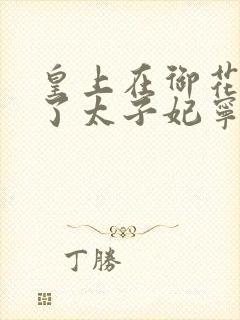 皇上在御花园C了太子妃宁儿