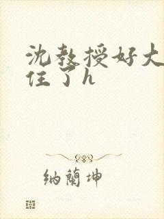 沈教授好大含不住了h