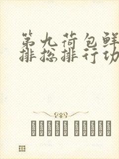 第九荷包鲜辣肉排总排行功能介绍