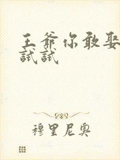 王爷你敢娶小三试试