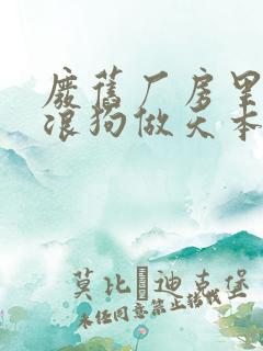 废旧厂房里和流浪狗做天本