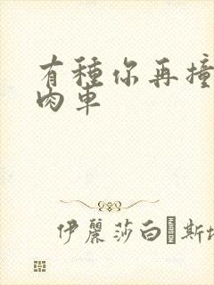 有种你再撞一下肉车