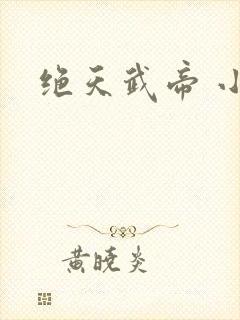 绝天武帝 小说