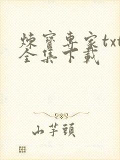 炼宝专家txt全集下载