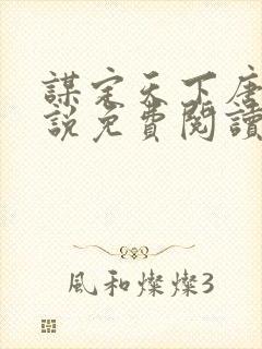 谋定天下唐诚小说免费阅读