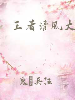王者清风大结局