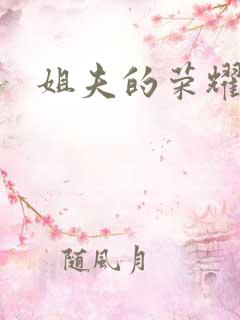 姐夫的荣耀全集