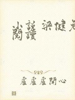 小说 梁健免费阅读