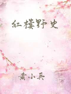 红楼野史