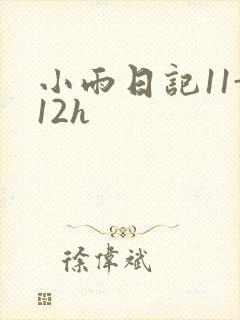 小雨日记11-12h