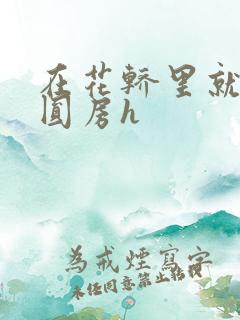 在花轿里就开始圆房h