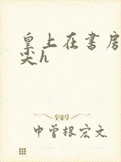 皇上在书房含乳尖h